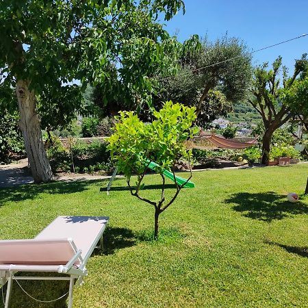 Ferienwohnung Il Giardino Barano dʼIschia Exterior foto