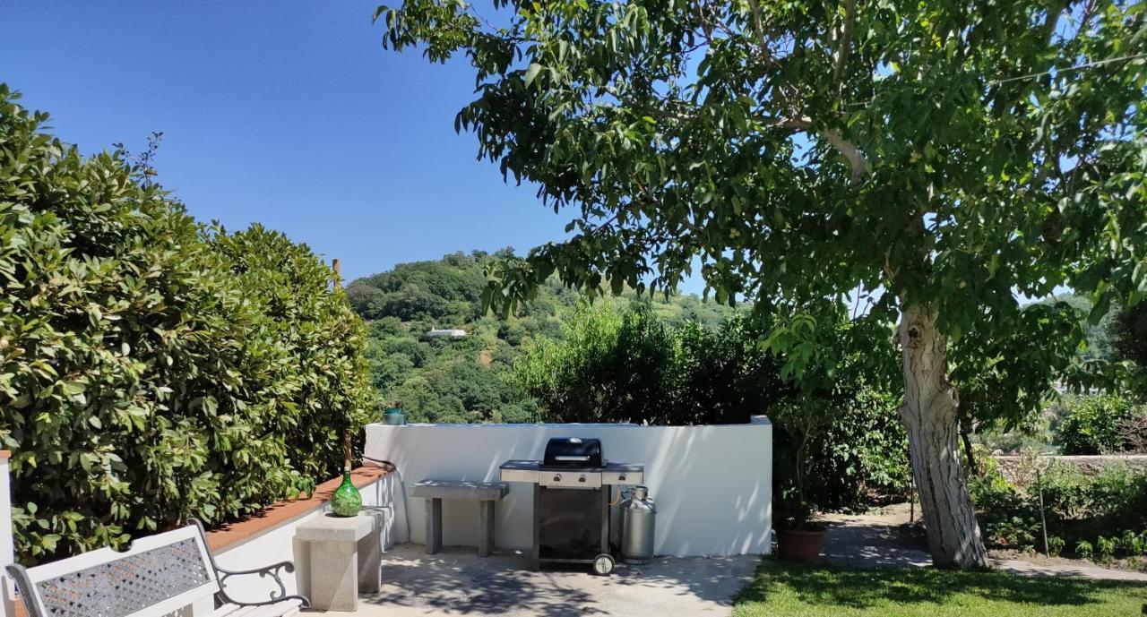 Ferienwohnung Il Giardino Barano dʼIschia Exterior foto
